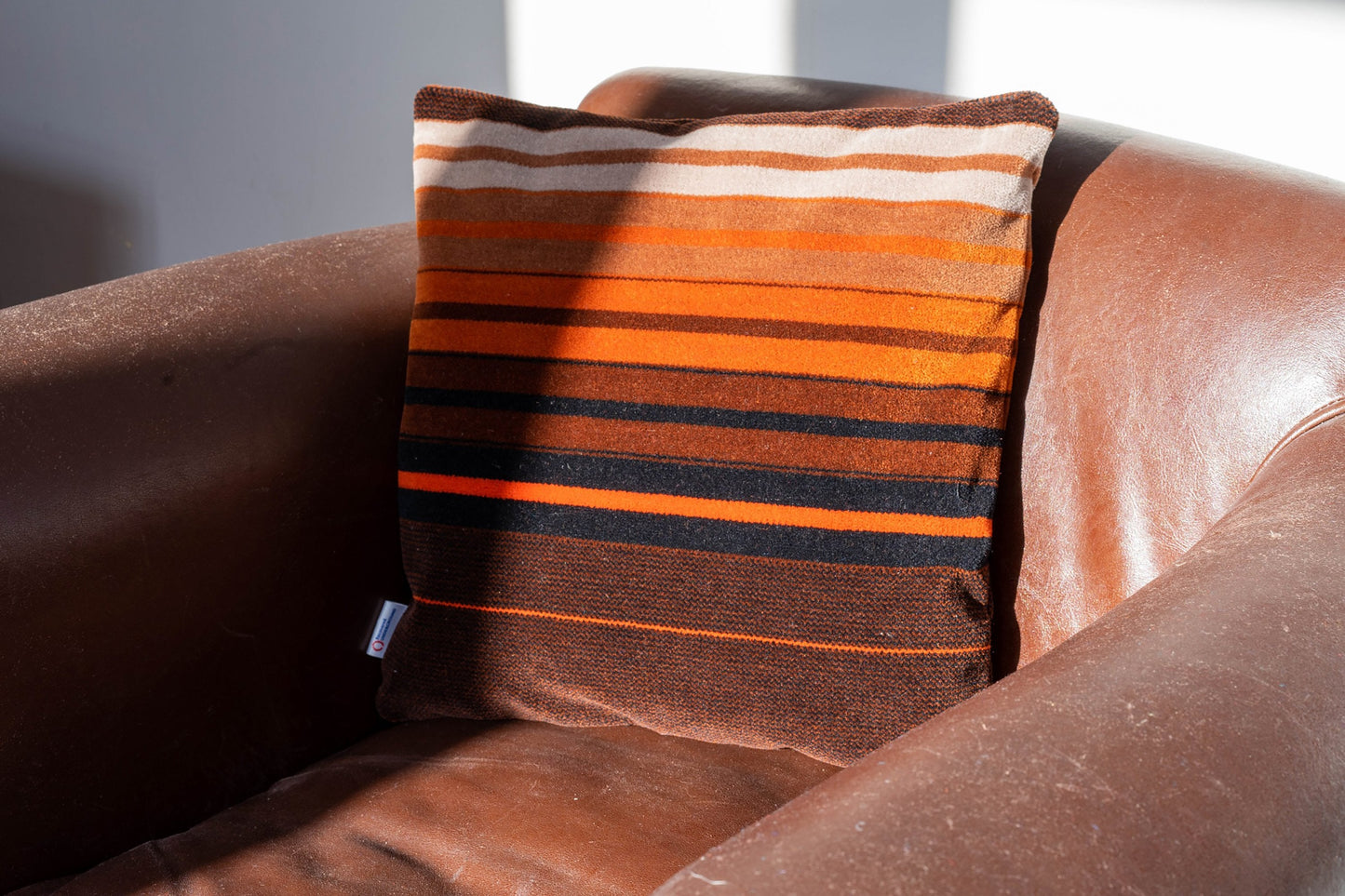 NSE Donkey Stripe 1st Class Moquette Cushion