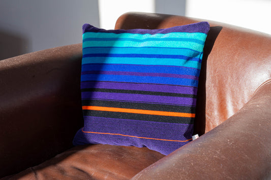 NSE Donkey Stripe 2nd Class Moquette Cushion