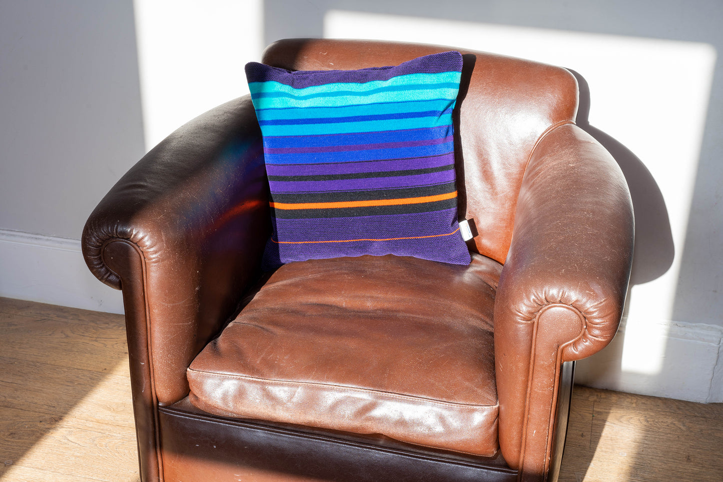 NSE Donkey Stripe 2nd Class Moquette Cushion