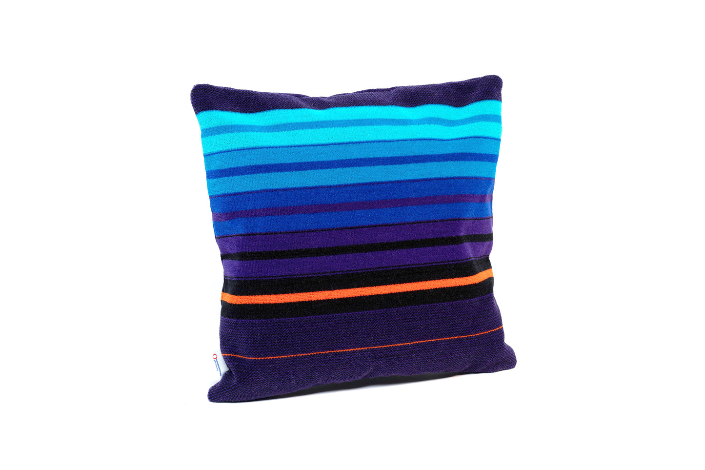 NSE Donkey Stripe 2nd Class Moquette Cushion