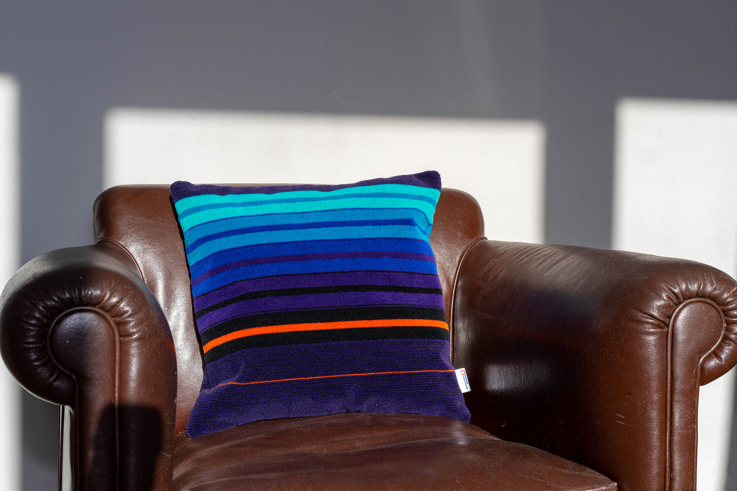 NSE Donkey Stripe 2nd Class Moquette Cushion