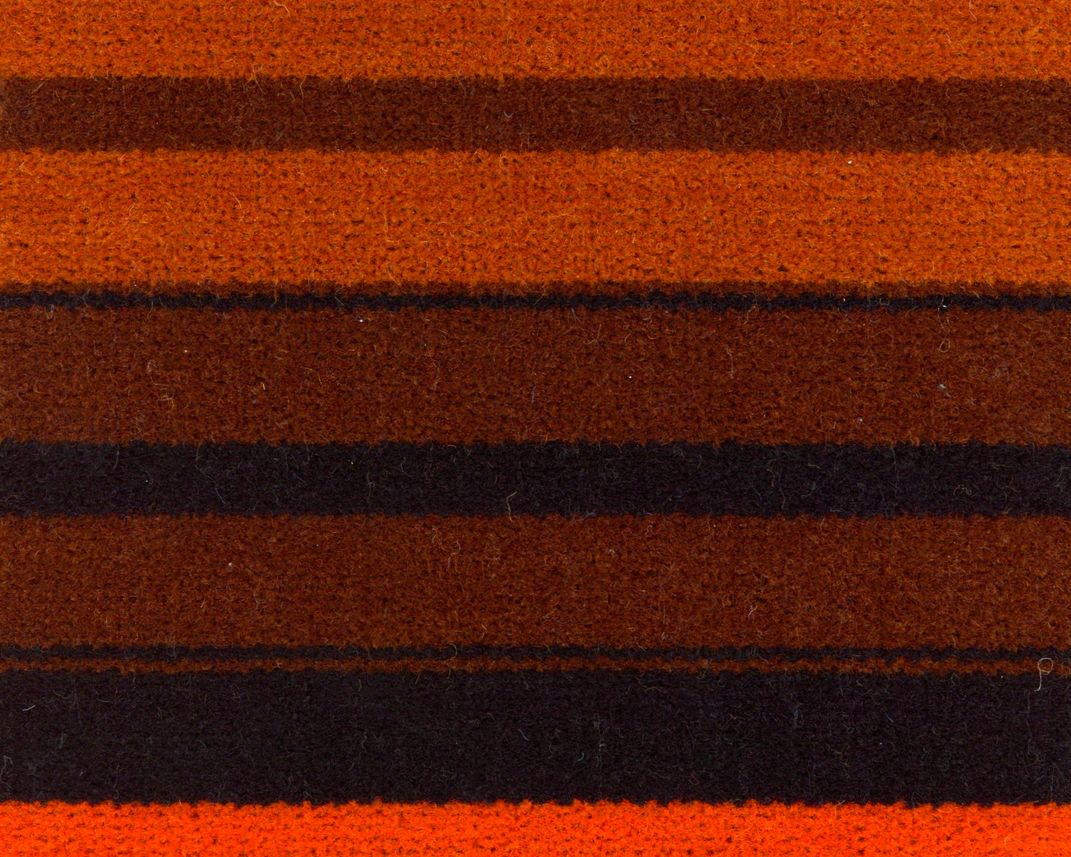 First Class Donkey Stripe
