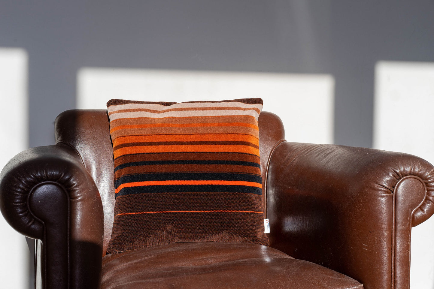 NSE Donkey Stripe 1st Class Moquette Cushion